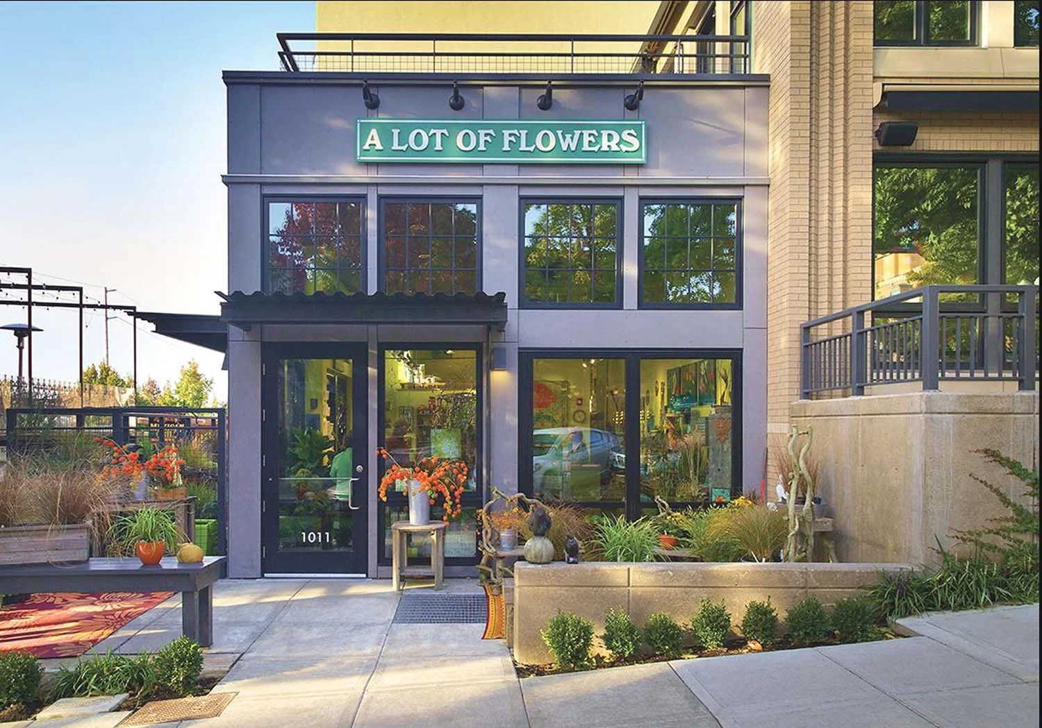 A Lot of Flowers