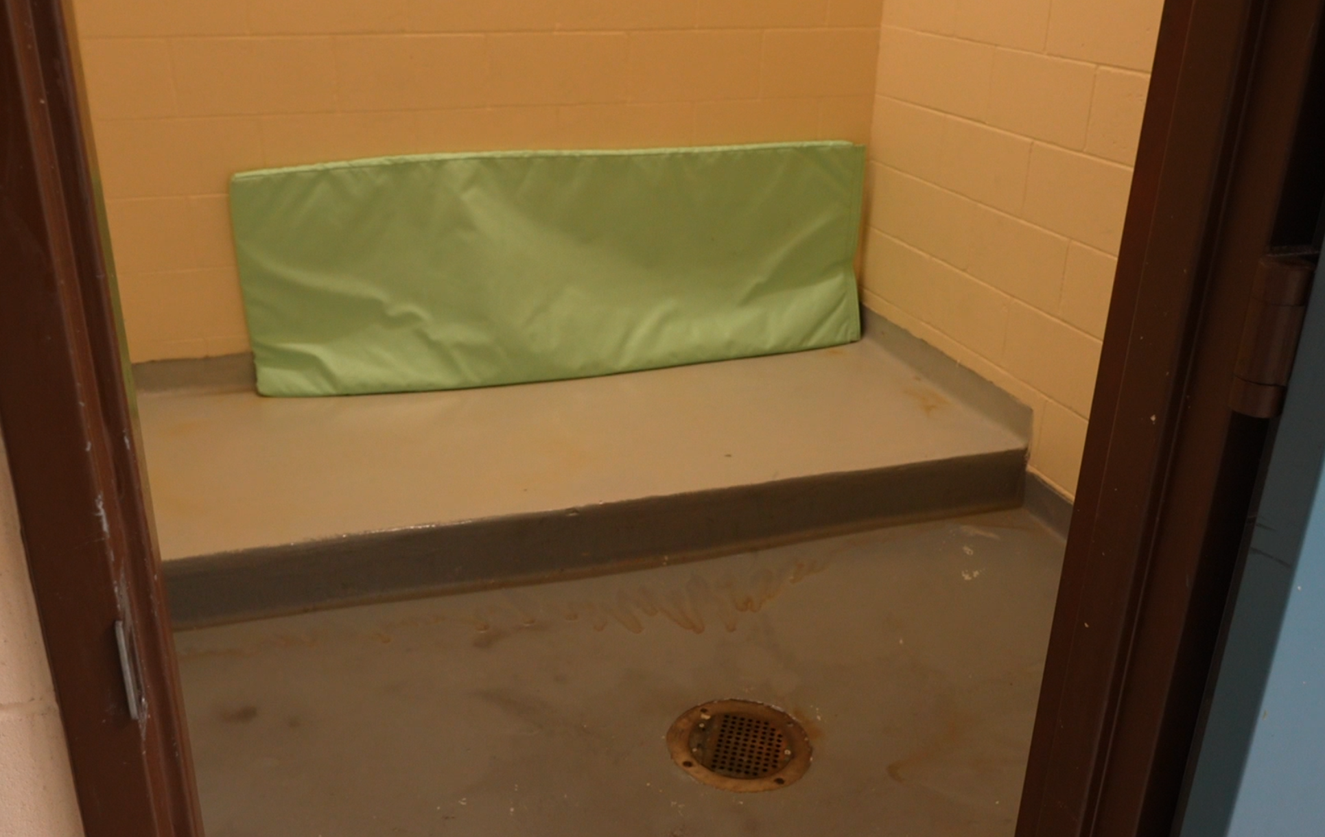 new - cell1.png