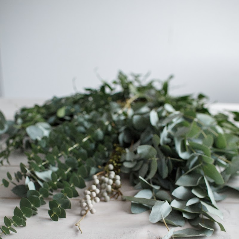 eucalyptus wax melts