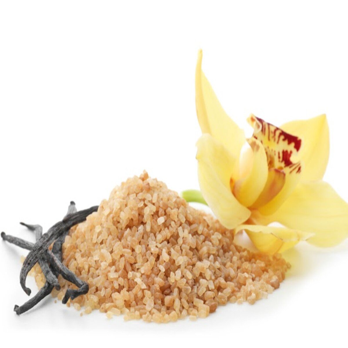 Warm Vanilla 2oz candle