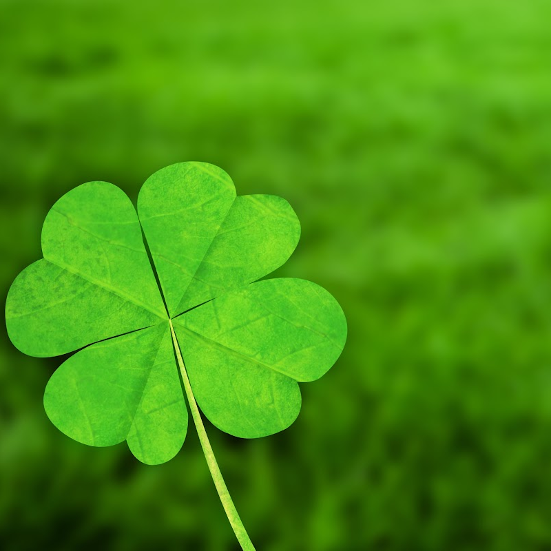 Green Clover & Aloe 4oz candle