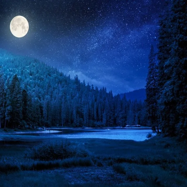 moonlight path clam shell