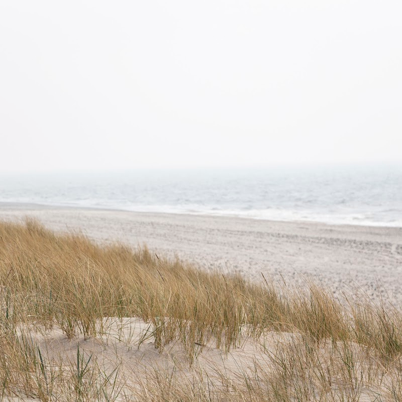 ocean mist clamshell