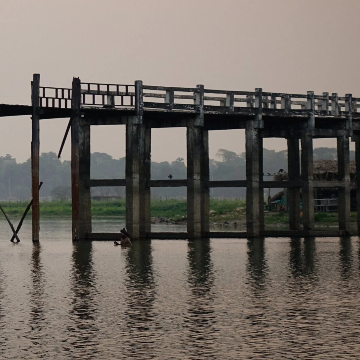 black teakwood clamshells