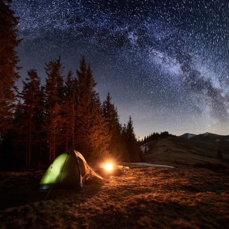 midsummers night wax melts