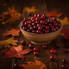 autumn cranberry 2oz candle