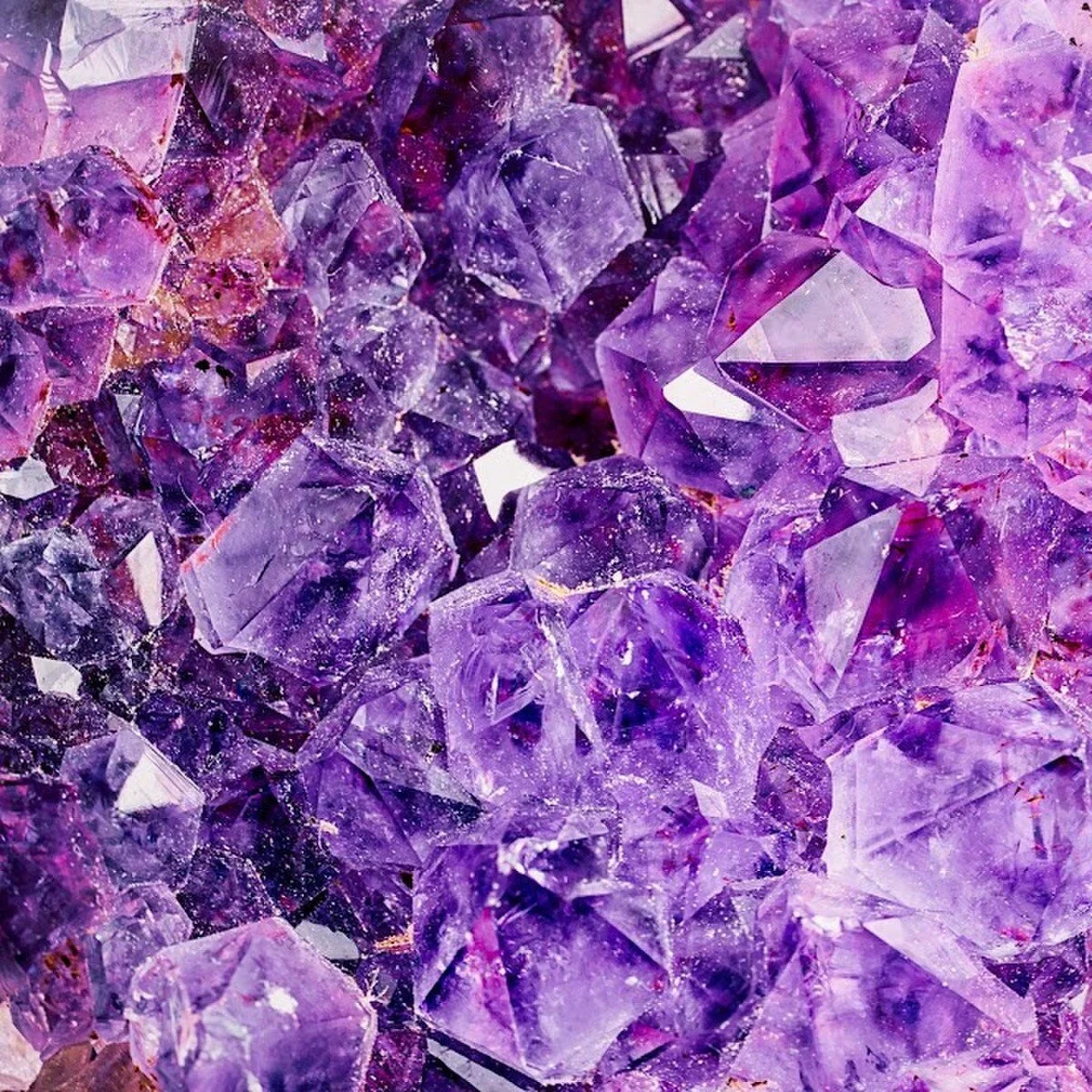 Majestic Plum & Amethyst wax melts