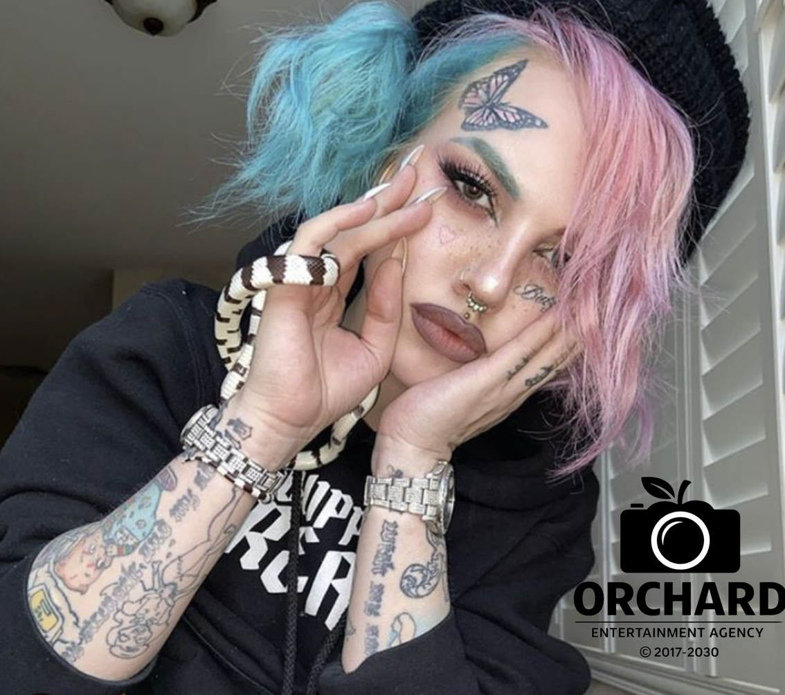 Screenshot 2026-03-03 at 1.15.04 PM.png