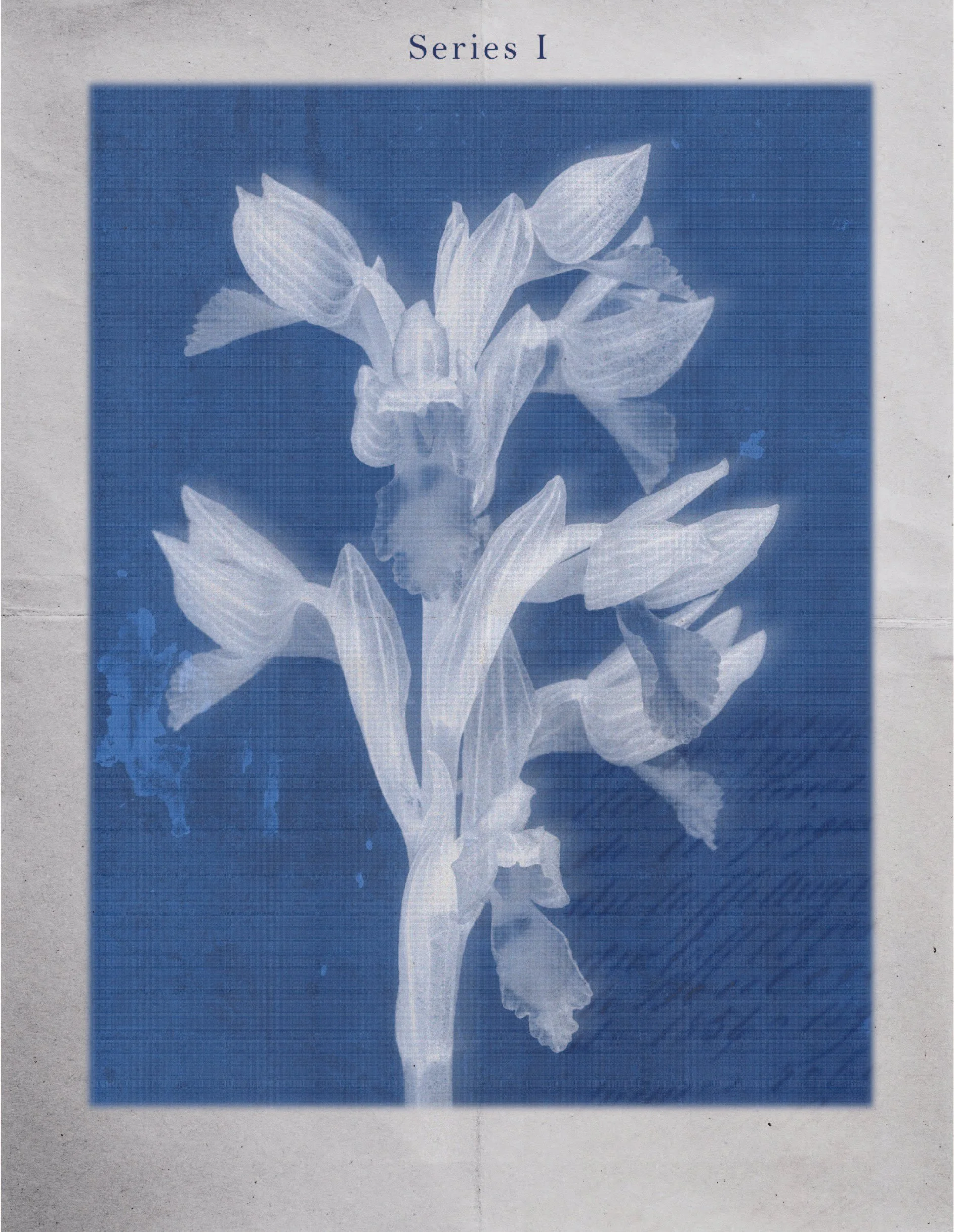 april postcard