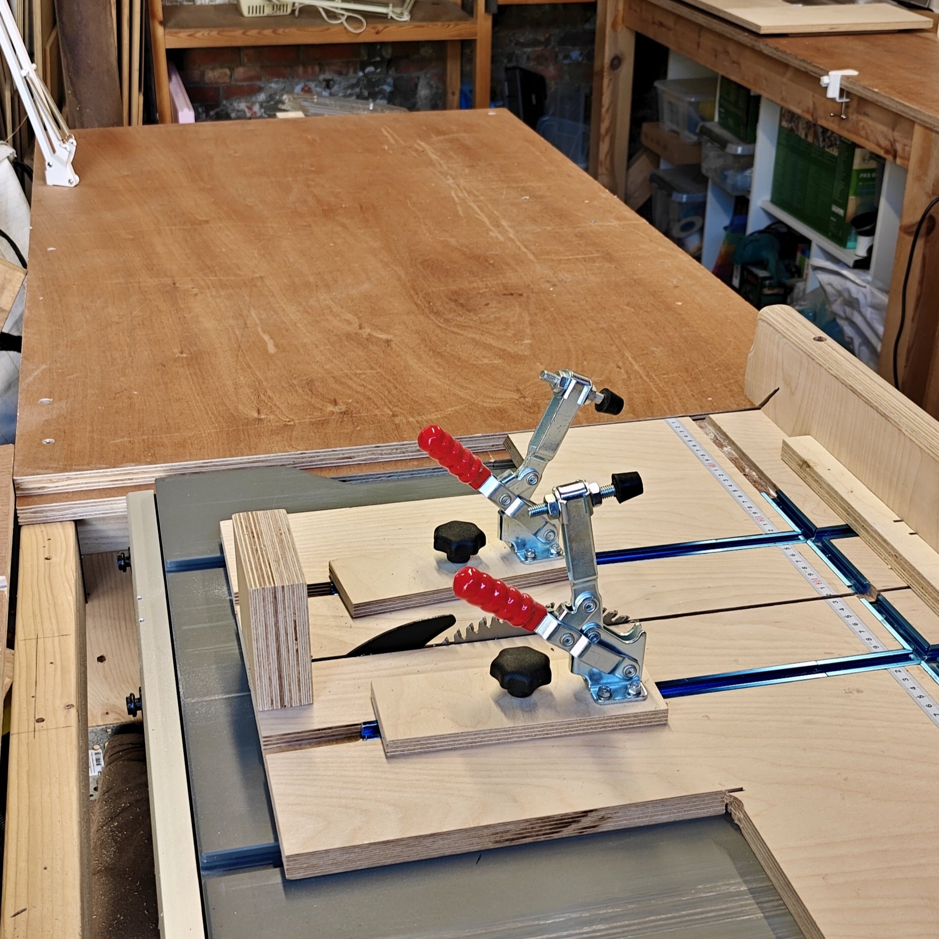Woodshop table with table saw and assembly space