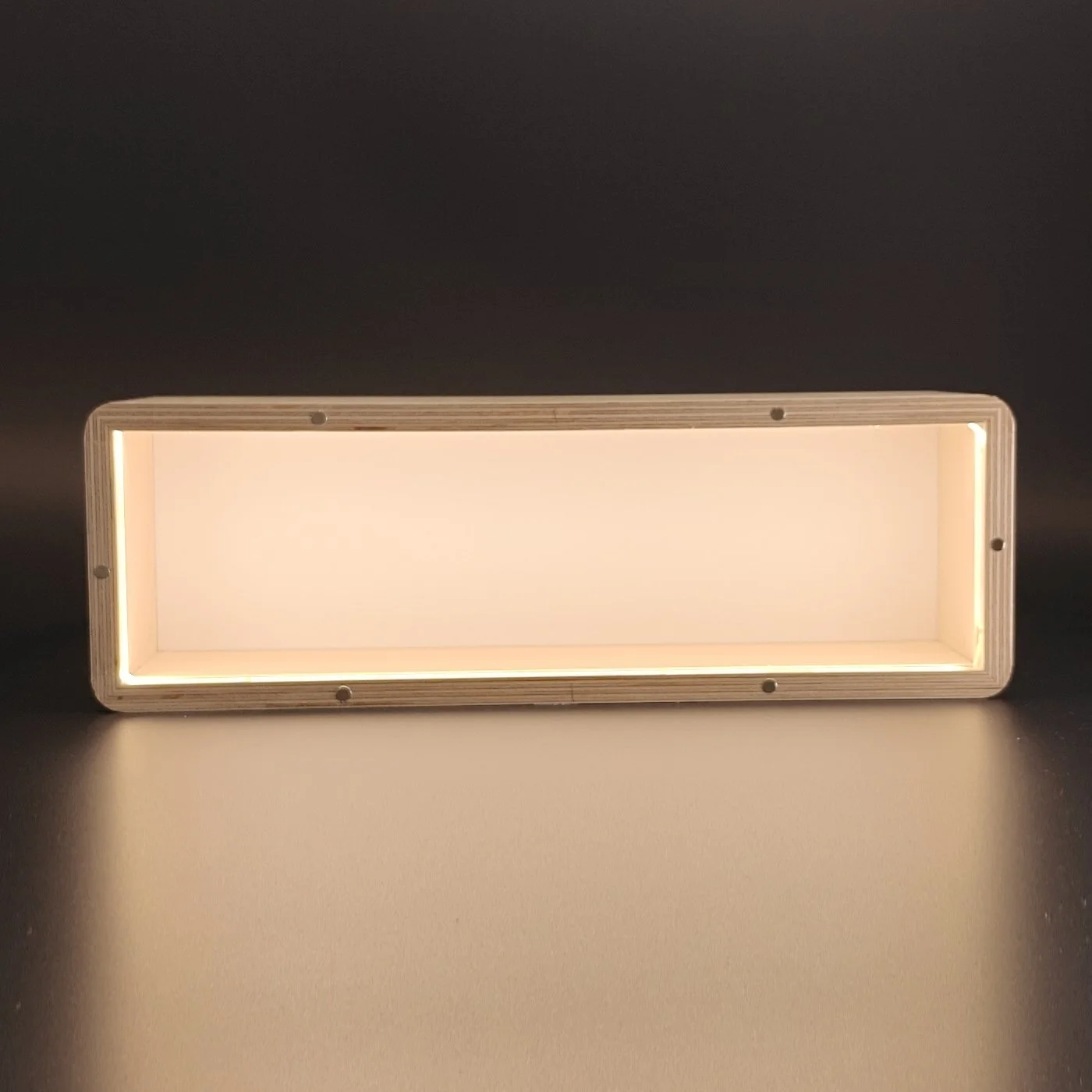 OnDisplay_L13_Led_White_front.jpg