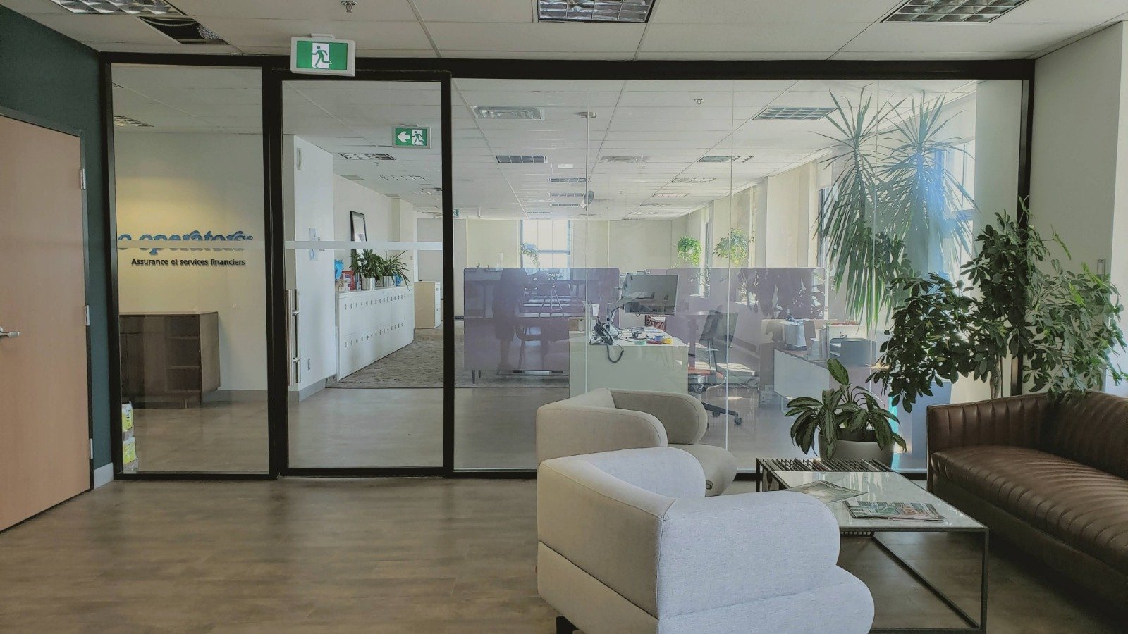 Office reception area with beige armchairs, a brown leather sofa, large potted plants, and glass-walled offices with desks and computers inside.