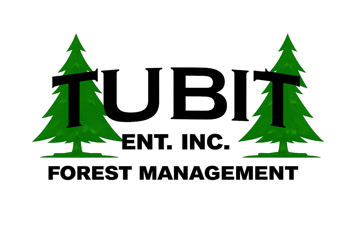 Tubit Enterprises Inc.