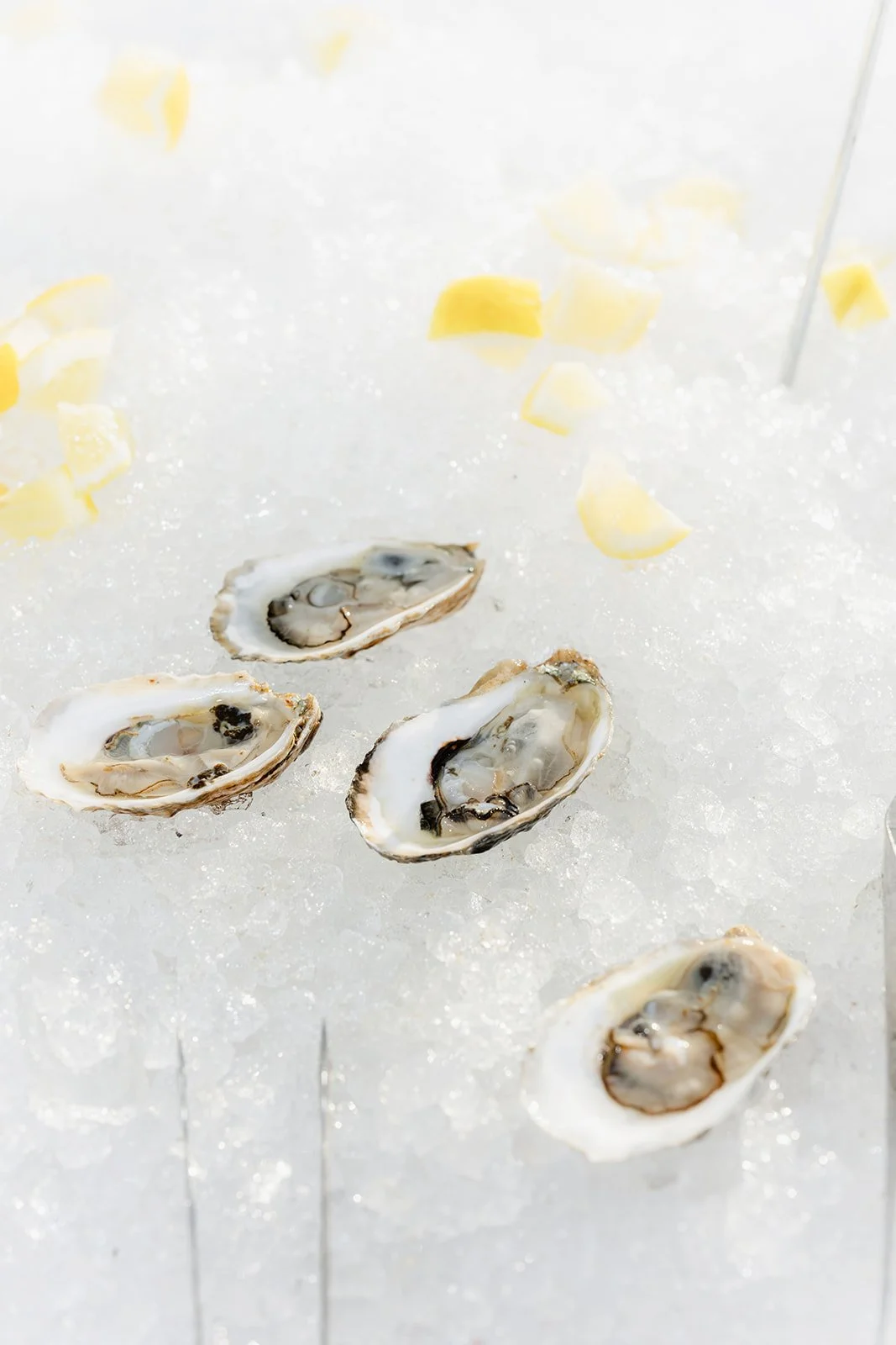 K&H-publication _hassanhadad_197_websize.jpg