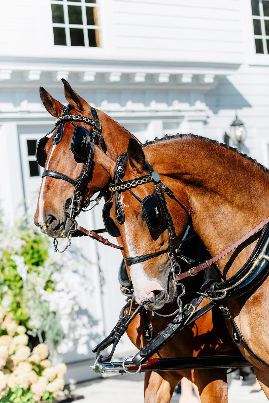 Katherine & Harley_hassanhadad_550_websize.jpg