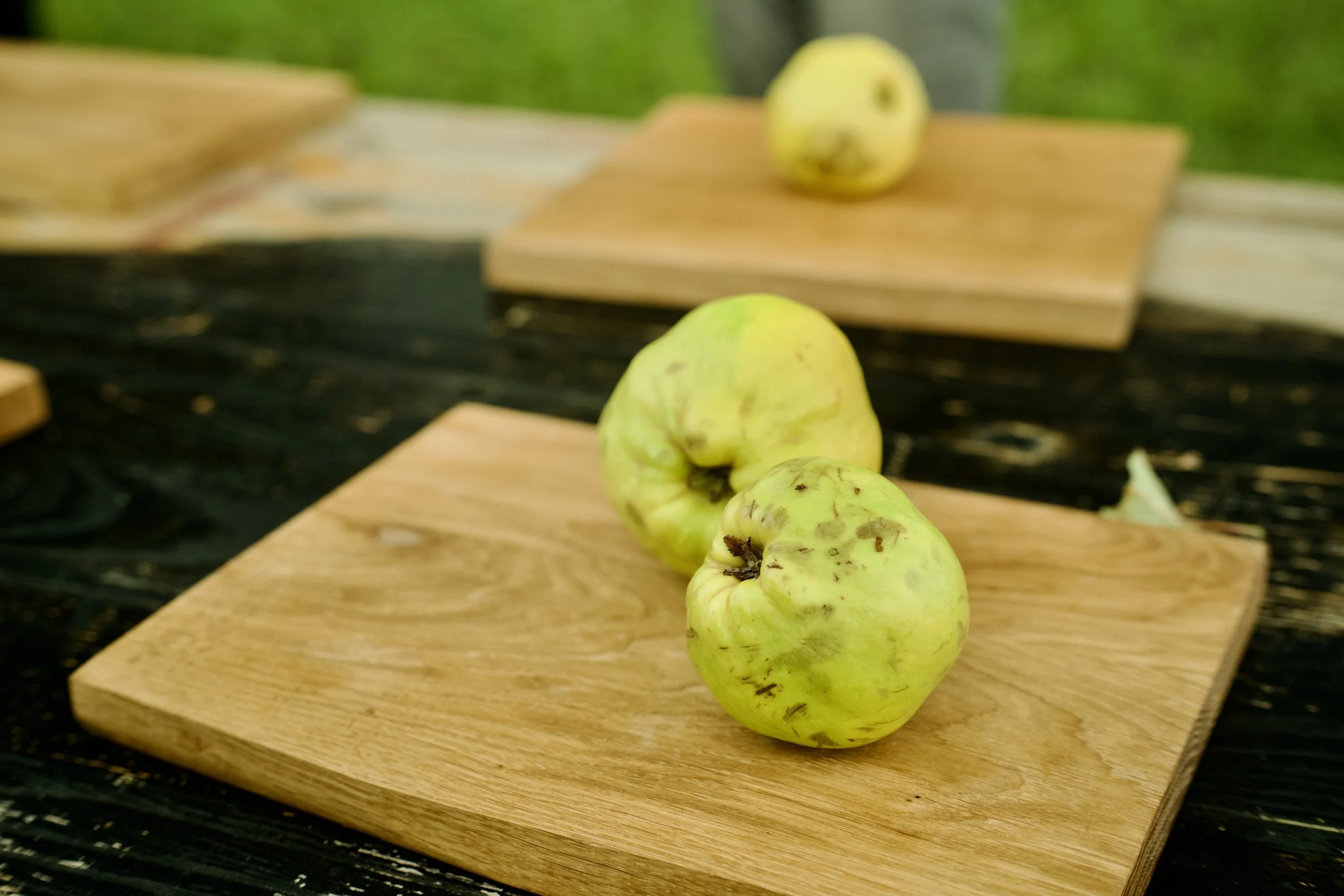 Kochkurs: Fermentieren