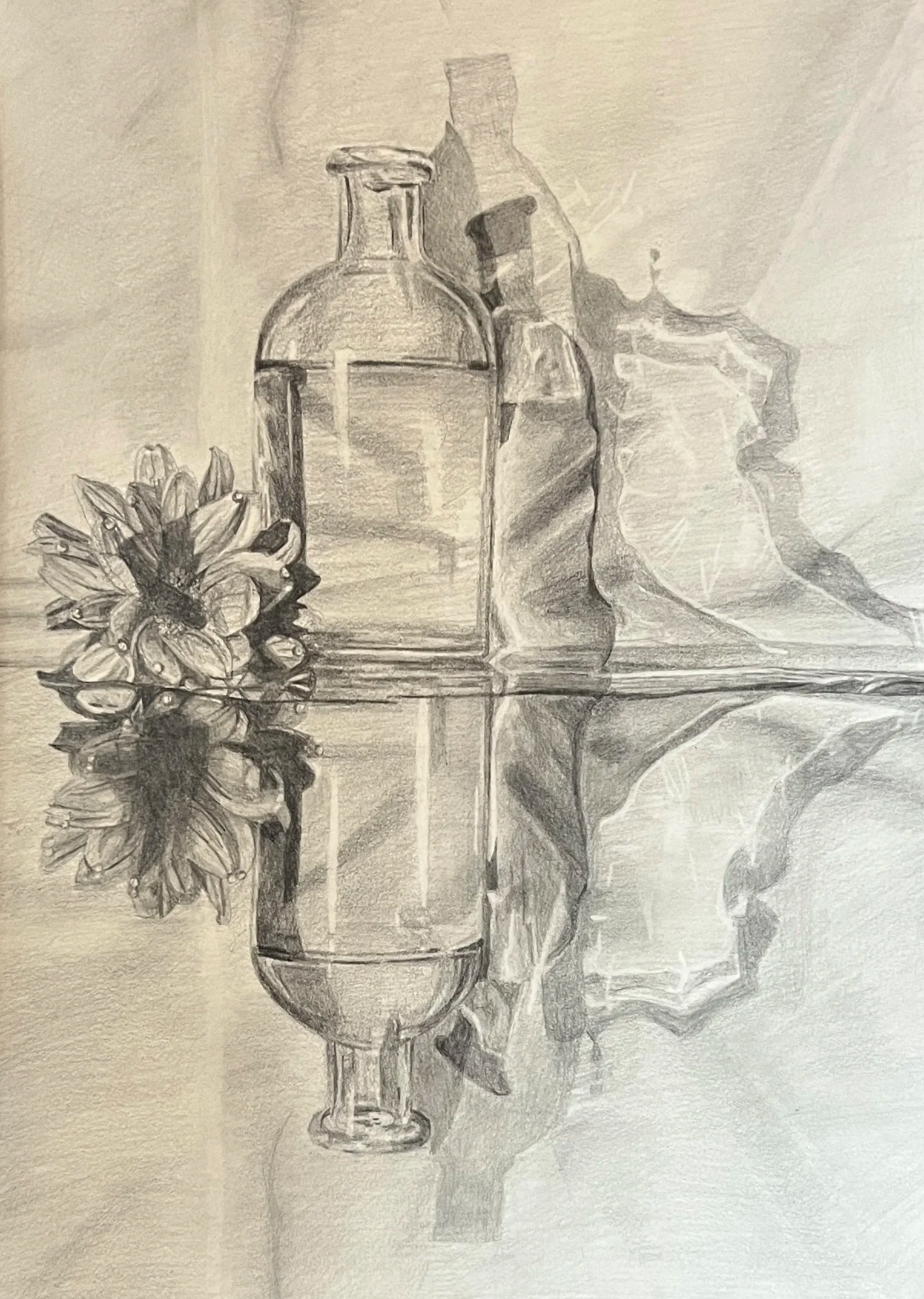 "Still Life" graphite on vellum