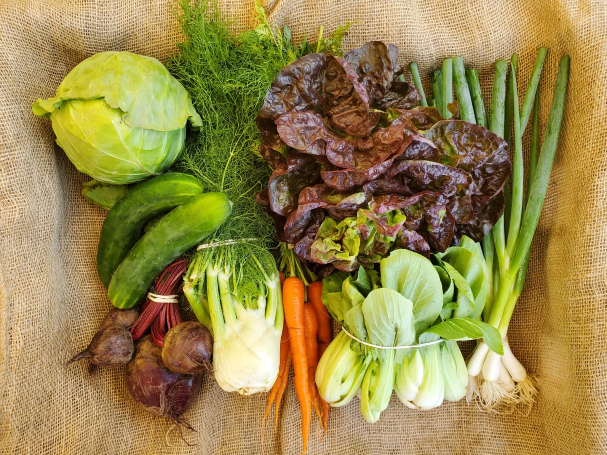 2025-04 0709WFHHD.jpg