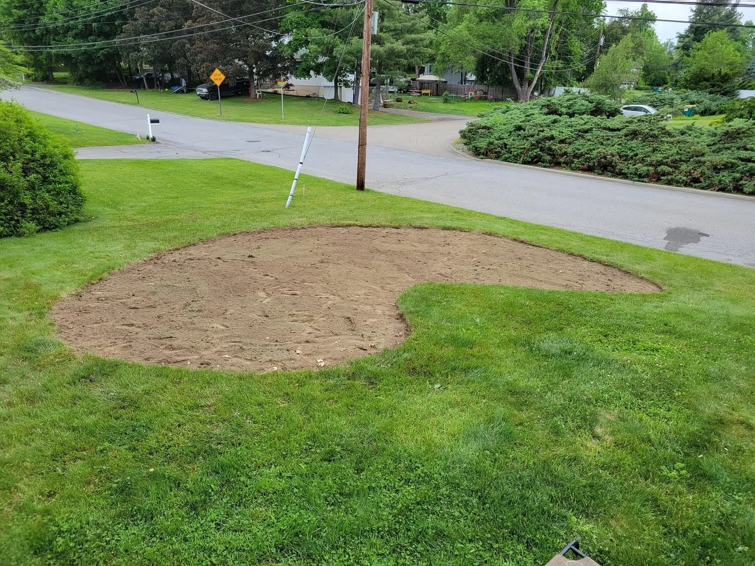 A patch of dirt on a lawn by a residential street, surrounded by green grass and trees in a suburban neighborhood.