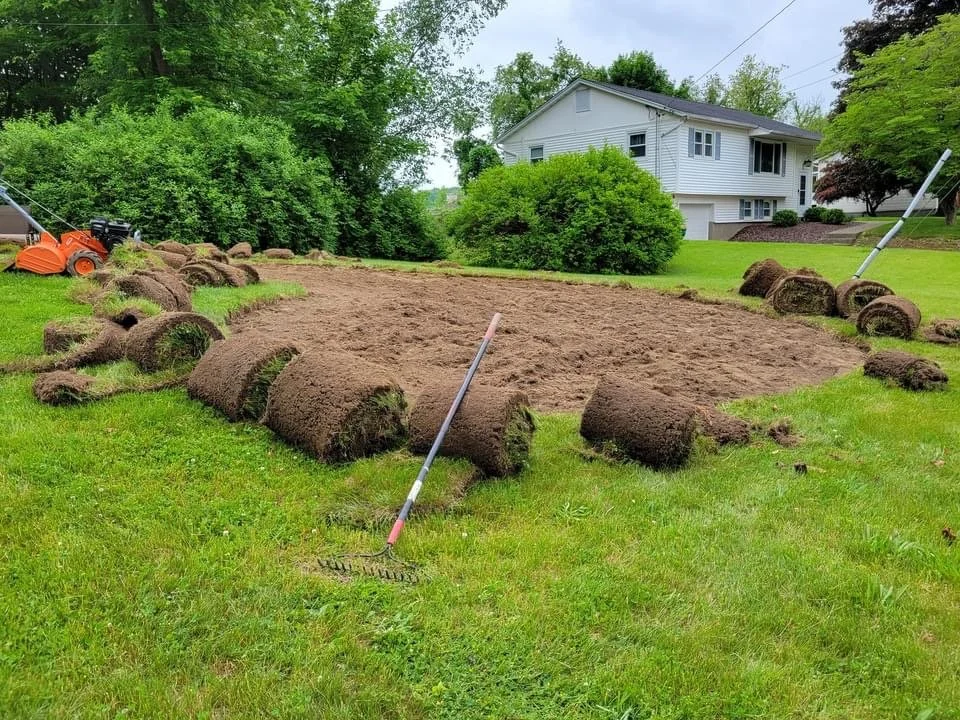 Lawn in a yard with rolled-up sod, bare soil, rake, and grass around. House in background.