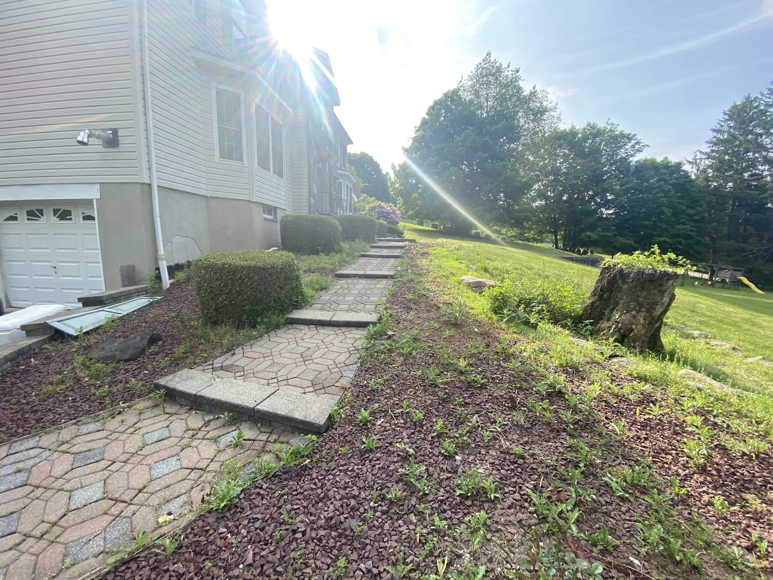 Stone path next to a house and garden, leading up a slope surrounded by grass and bushes, with a tree stump on the right. Bright sunlight filters through trees in the background.