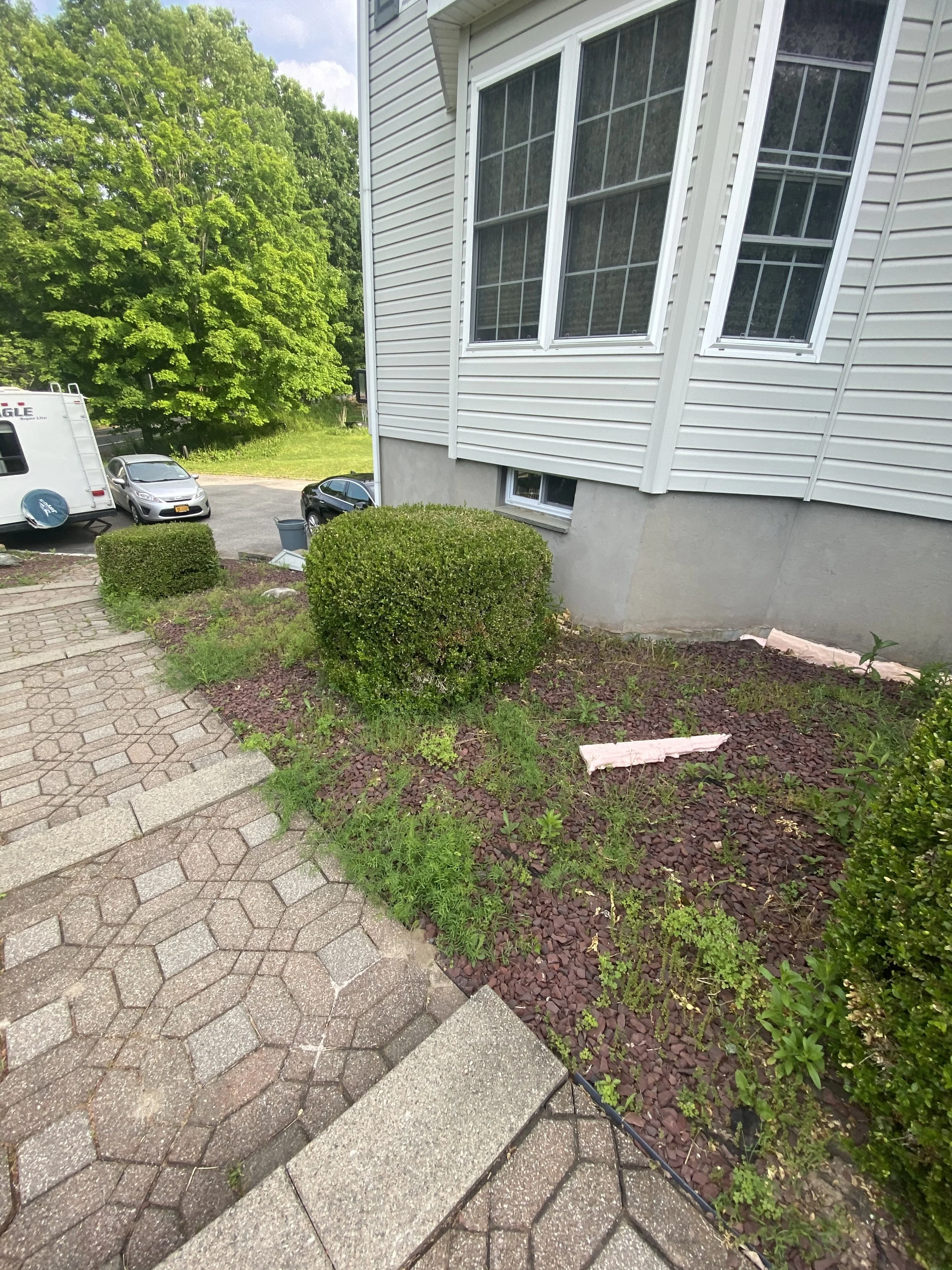 Side of a house with white siding, large windows, and a landscaped garden with trimmed bushes and paved walkway.