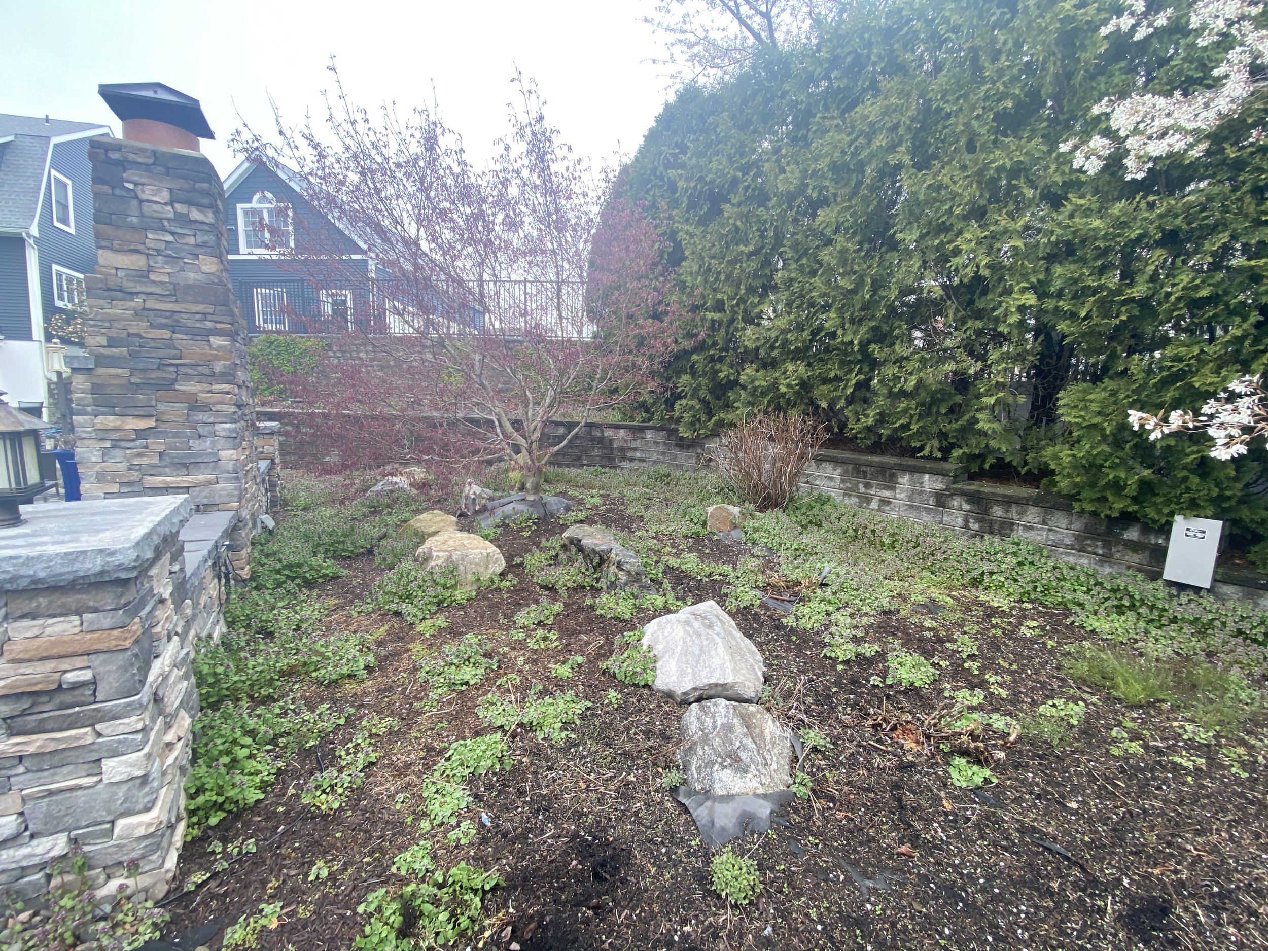 Backyard with stone chimney, greenery, and bushes; houses in background.