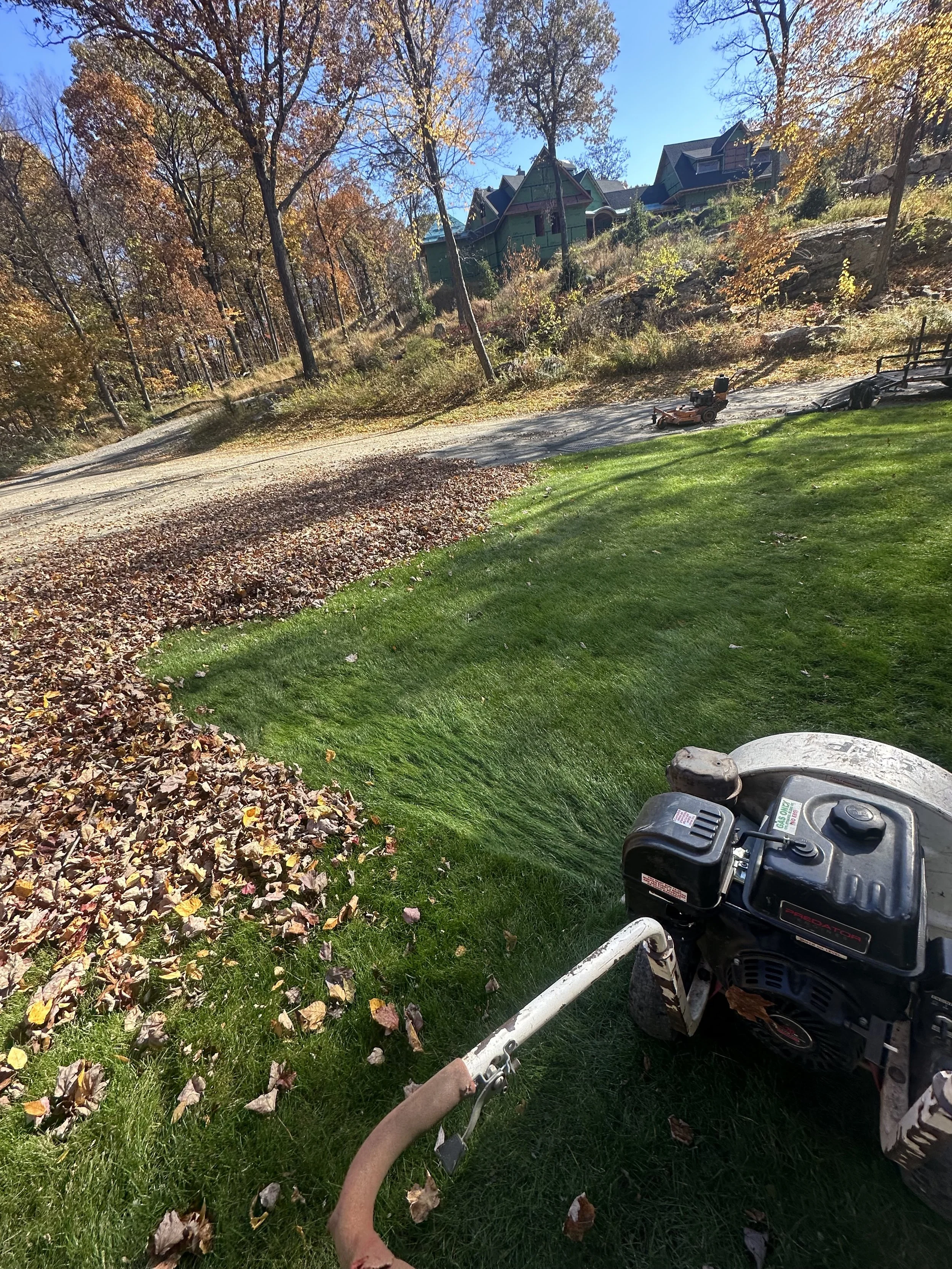 A yard with a lawnmower near the edge of a green grass lawn, surrounded by fallen autumn leaves, with trees and houses in the background on a sunny day.