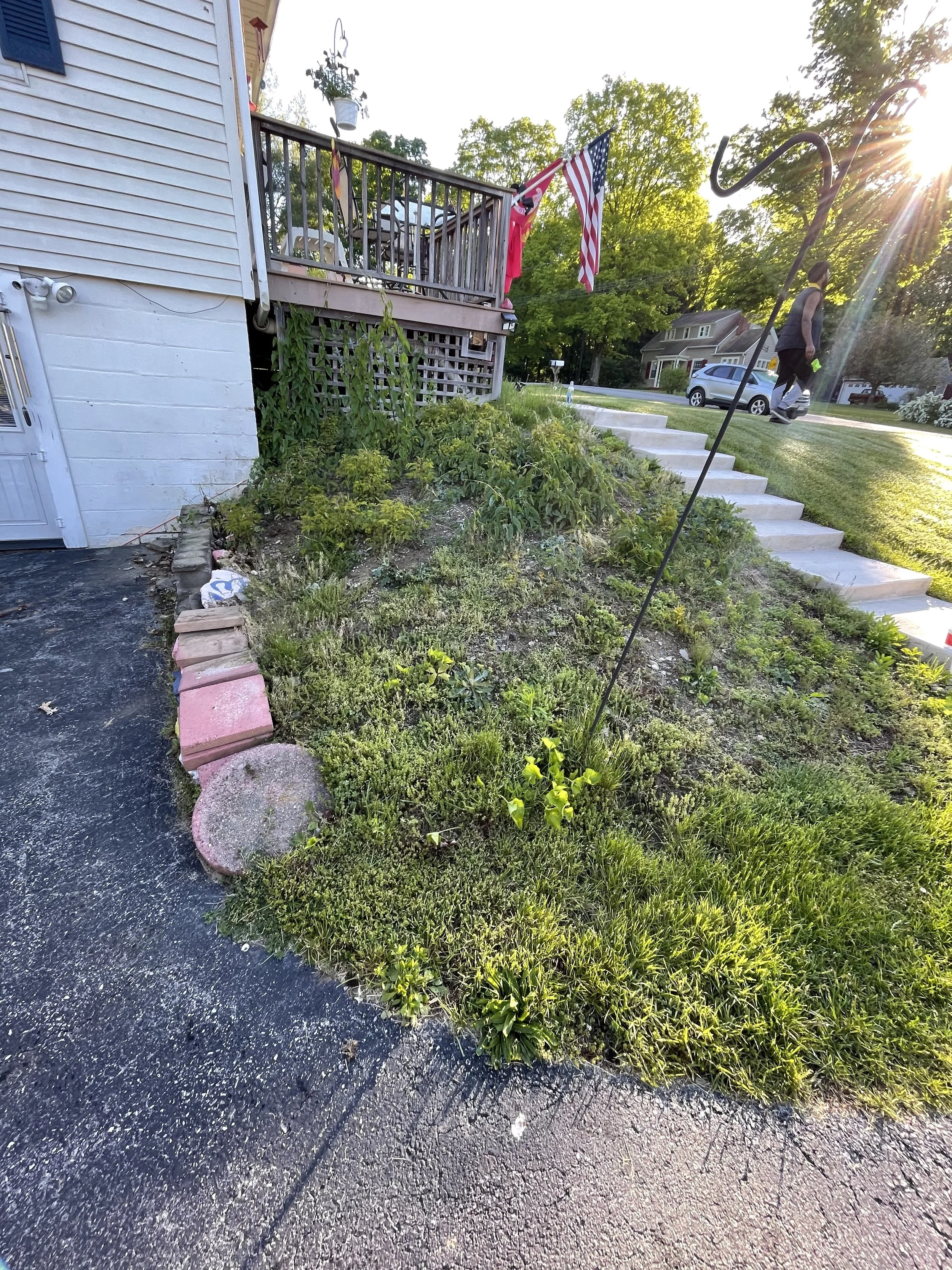 Front yard garden with various plants, a flag on a pole, a raised deck with chairs and hanging baskets, and a person walking on the sidewalk during sunset.