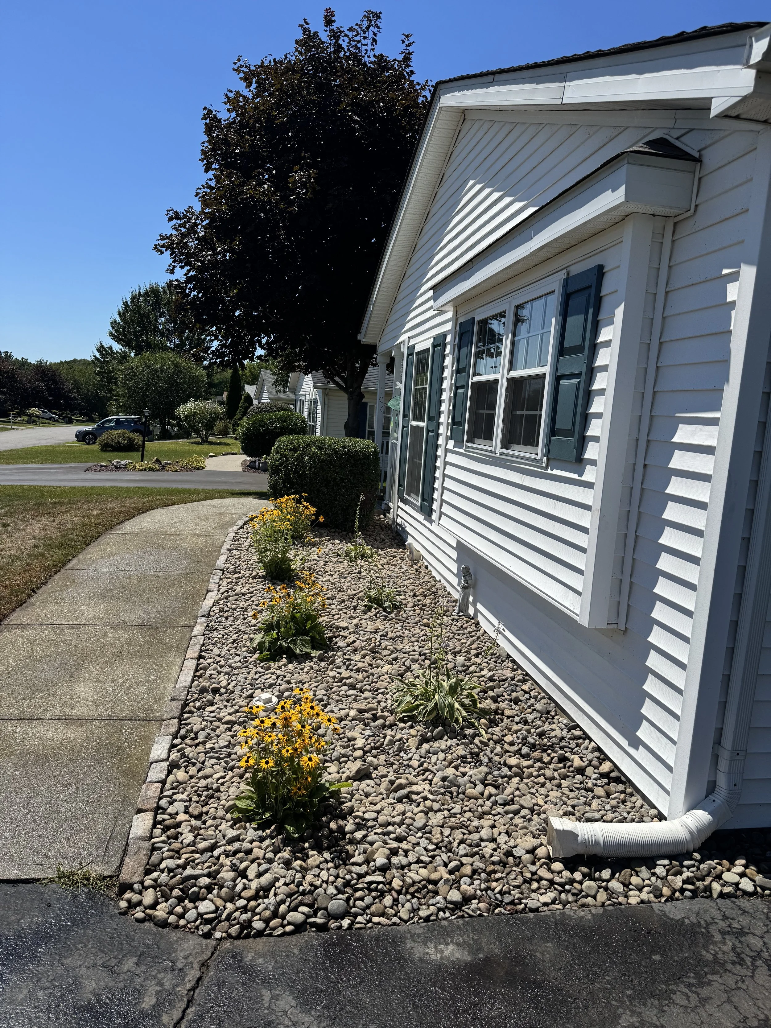 A suburban house with white siding, green shutters, and a landscaped garden bed with yellow flowers and rocks in front.