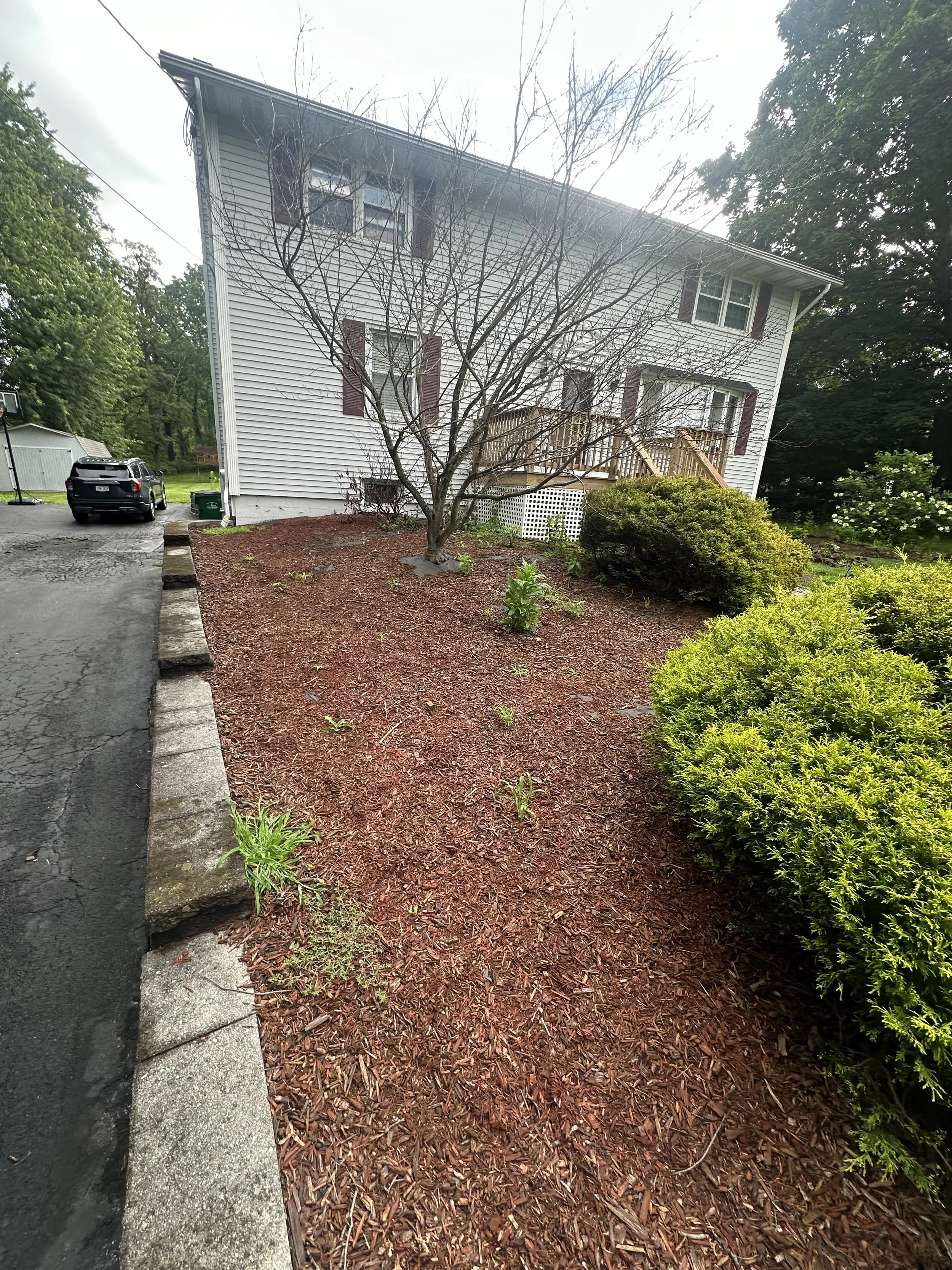 A residential house with white siding, brown shutters, and a small front porch with steps and a railing. The yard has mulch, a leafless tree in the front, and several green bushes and small plants. There's a paved driveway on the left with a black ca