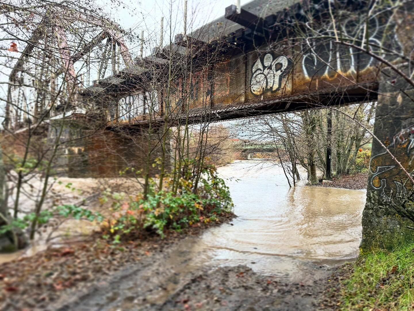The rivers are swollen with all this rain!