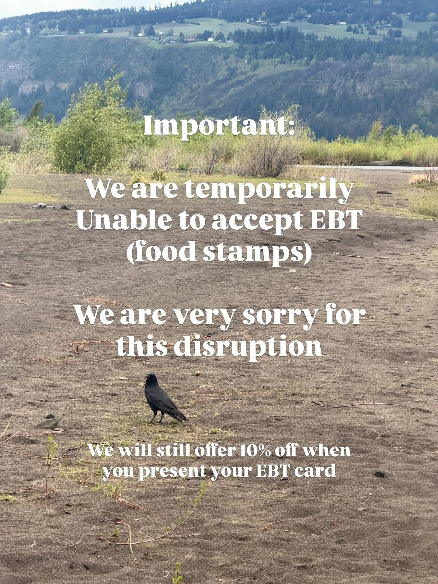 We are sorry to say that our permit for EBT expired and due to the re-application process we will not be able to accept EBT payments for 4-6 weeks until it is approved again. 

We will still offer our 10% off for EBT customers - just present your EBT