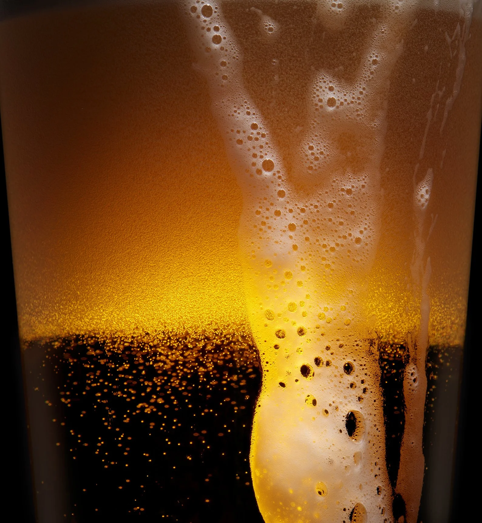 Beer Head on Glass Macro.jpg