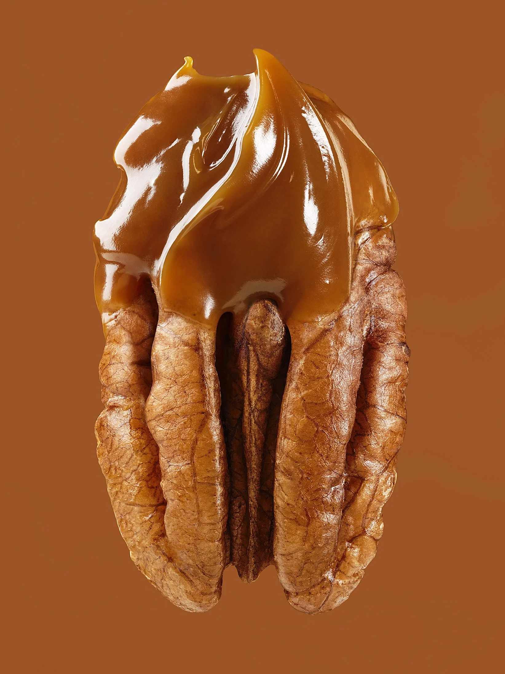 Flavor Pecan Caramel Macro.jpg
