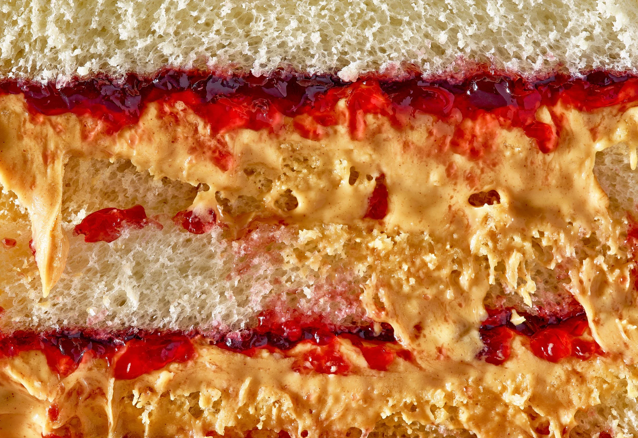 Sandwich PBJ Macro Smear Hero.jpg