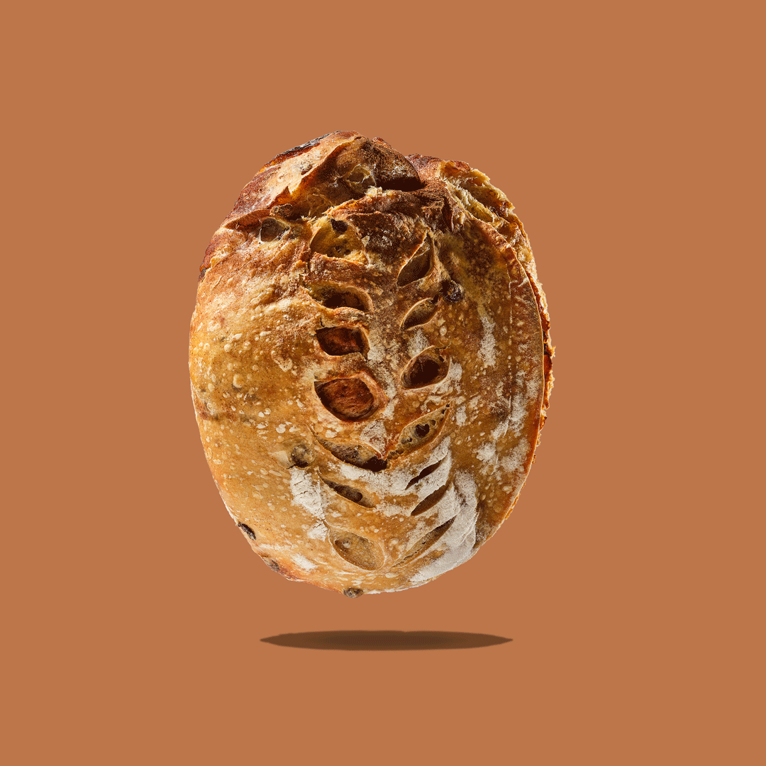 Cinnamon-Raisin-GIF.gif
