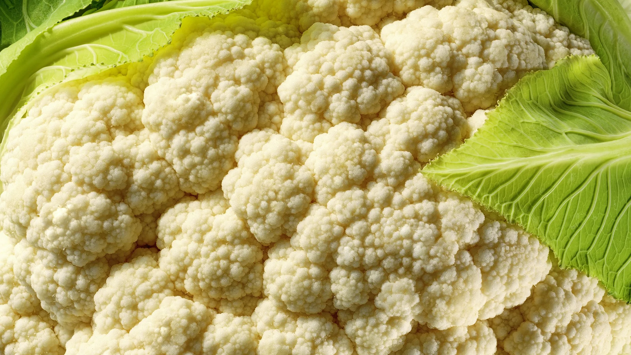 Vegetable Cauliflower Macro.jpg
