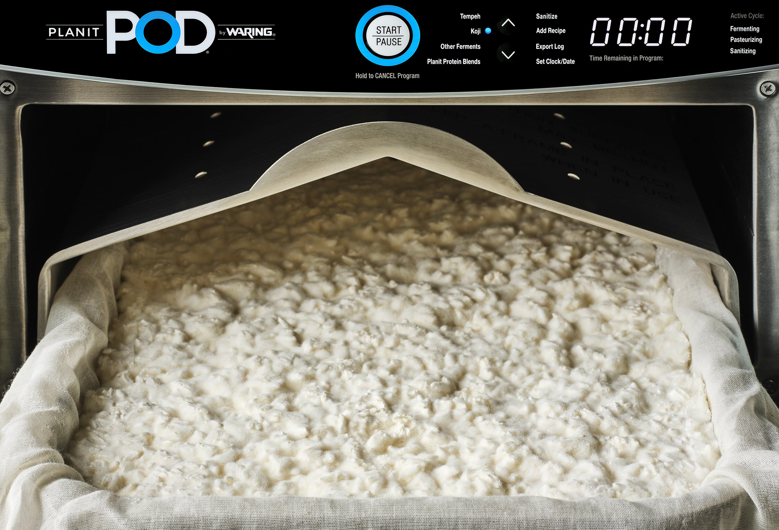 Card 5 Koji in Pod Perspective Tight Crop.jpg