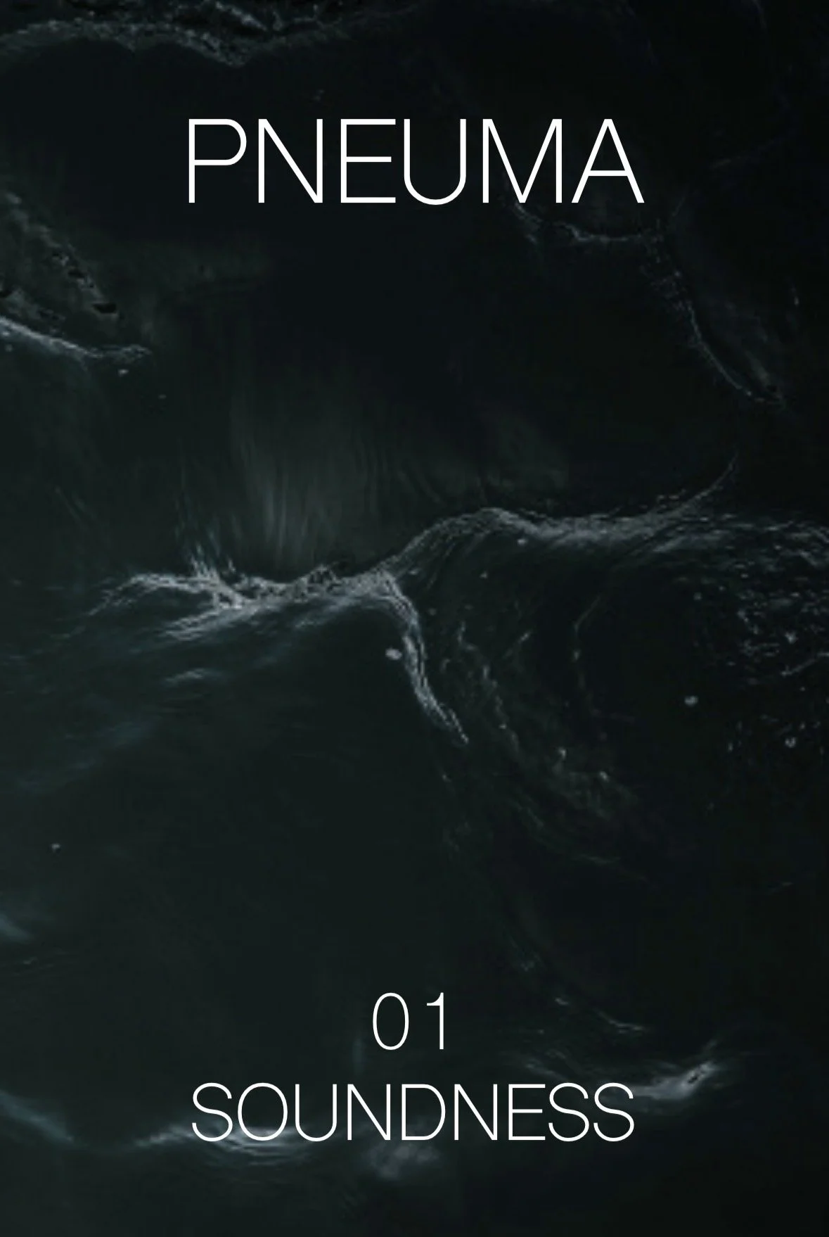 Dark abstract background with flowing, wave-like textures and the words 'Pneuma' at the top and '01 Soundness' at the bottom.