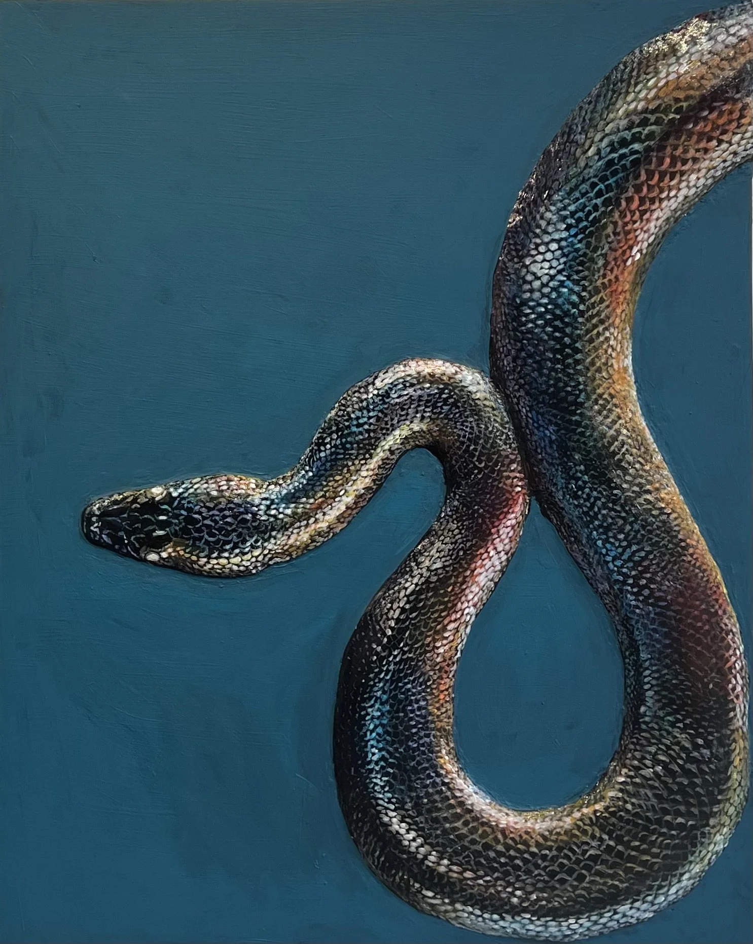 Snake
(16" x 20" acrylic on panel 2024)