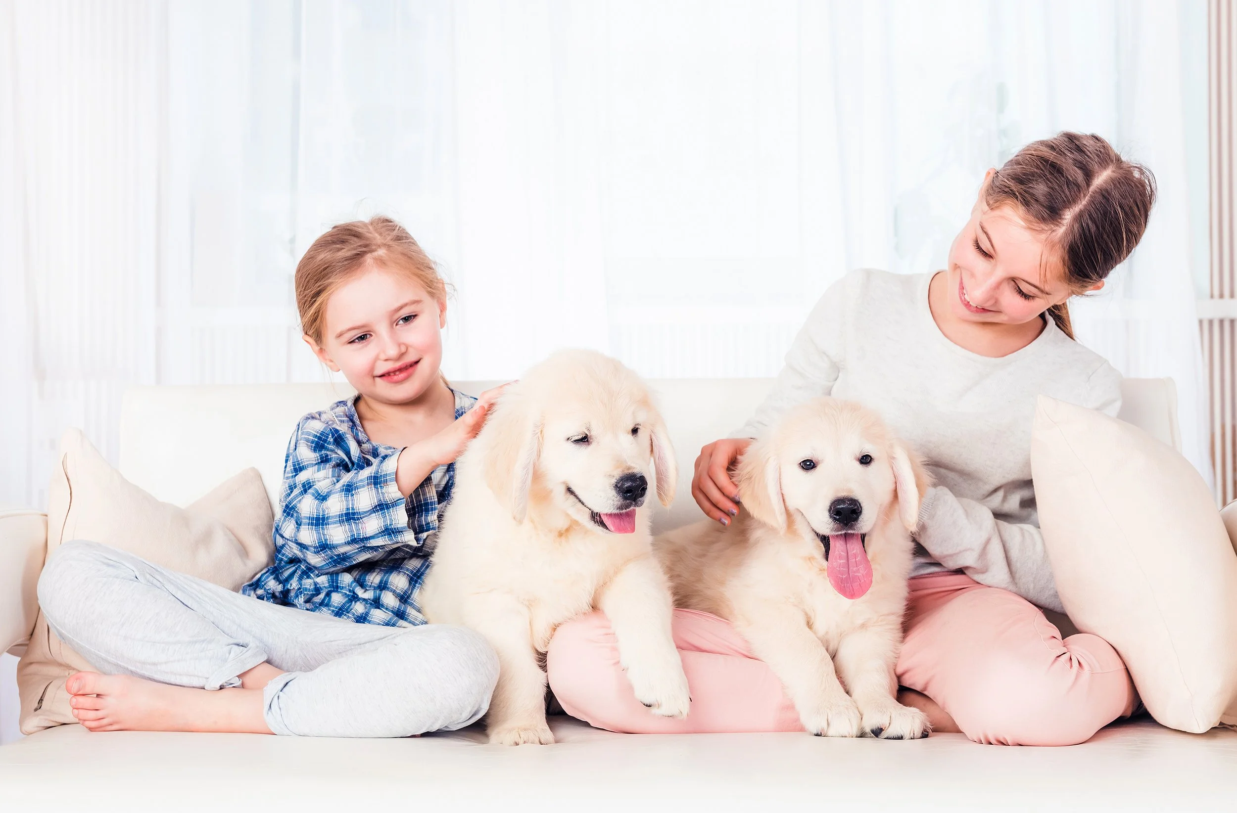 smiling-sisters-sitting-with-puppies-2023-11-27-05-31-21-utc.jpg