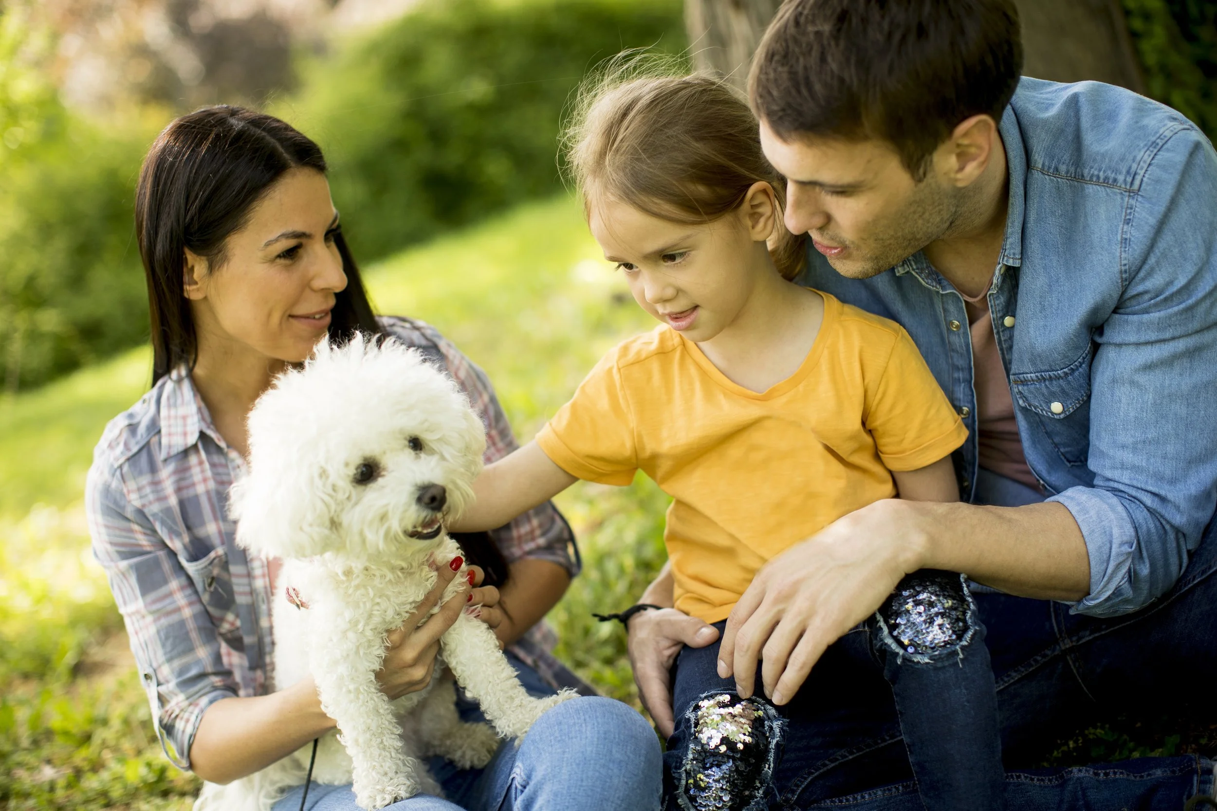 happy-family-with-cute-bichon-dog-in-the-park-2023-11-27-05-04-51-utc.jpg