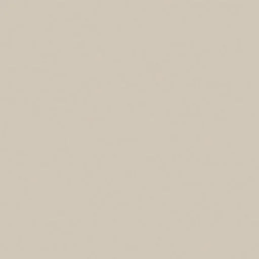 Accessible+Beige+(AB).jpg