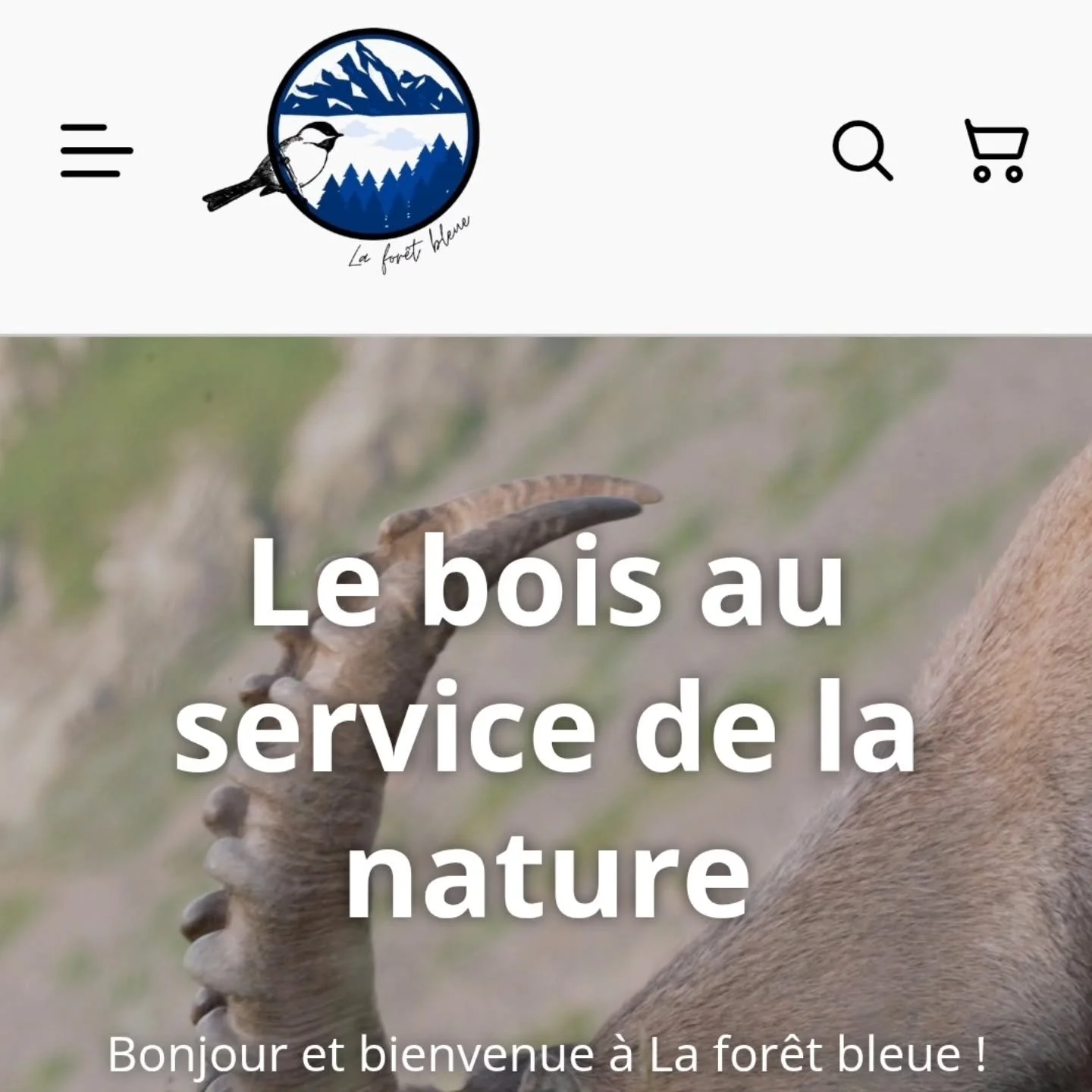 🌳 Le nouveau site de&nbsp;La For&ecirc;t Bleue&nbsp;est en ligne !

Grande nouveaut&eacute; : le site inclut ma&nbsp;nouvelle boutique en ligne 🛒🌿

Le projet pousse et s&rsquo;&eacute;toffe : bient&ocirc;t, plein de&nbsp;solutions pour accueillir,