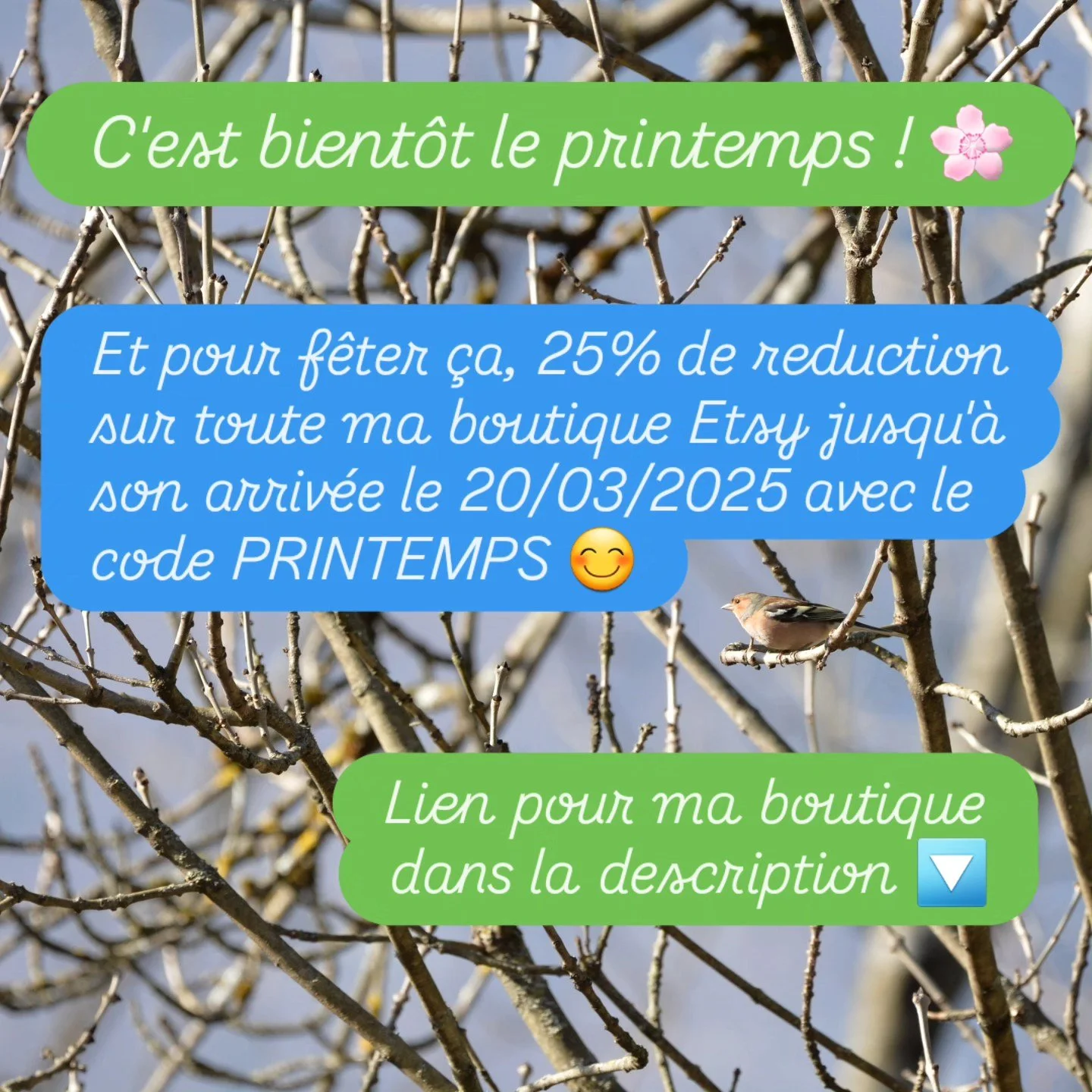 Promotion sp&eacute;ciale printemps ! 🌸 

-25% avec le code PRINTEMPS valable pour l'achat d'au moins 2 articles 😉

Utilisez-la sur ma boutique Etsy : 
etsy.com/shop/LaforetbleueAtelier

#promotion #printemps #biodiversit&eacute; #d&eacute;coration