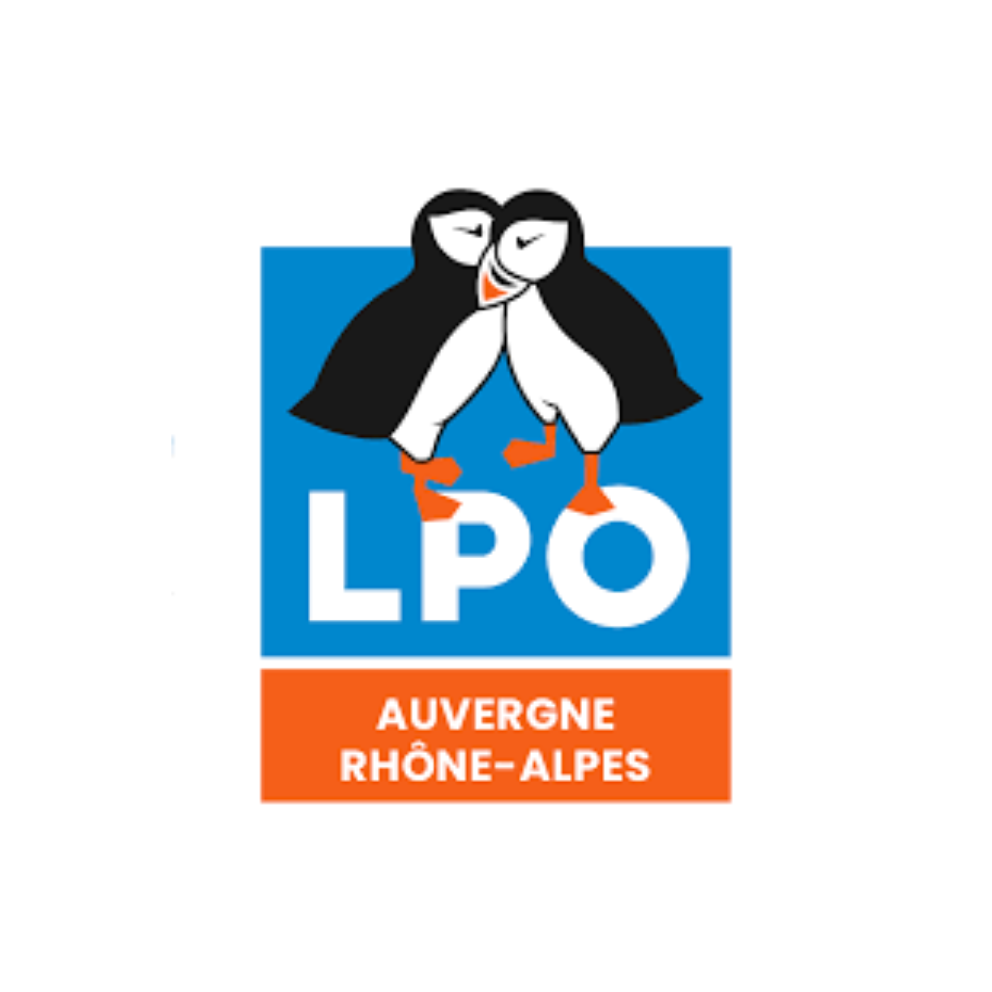 Logo avec deux pingouins se tenant par les ailes, au-dessus des lettres 'LPO' en blanc sur fond bleu. En bas, un rectangle orange avec le texte 'AUVERGNE RHÔNE-ALPES'.