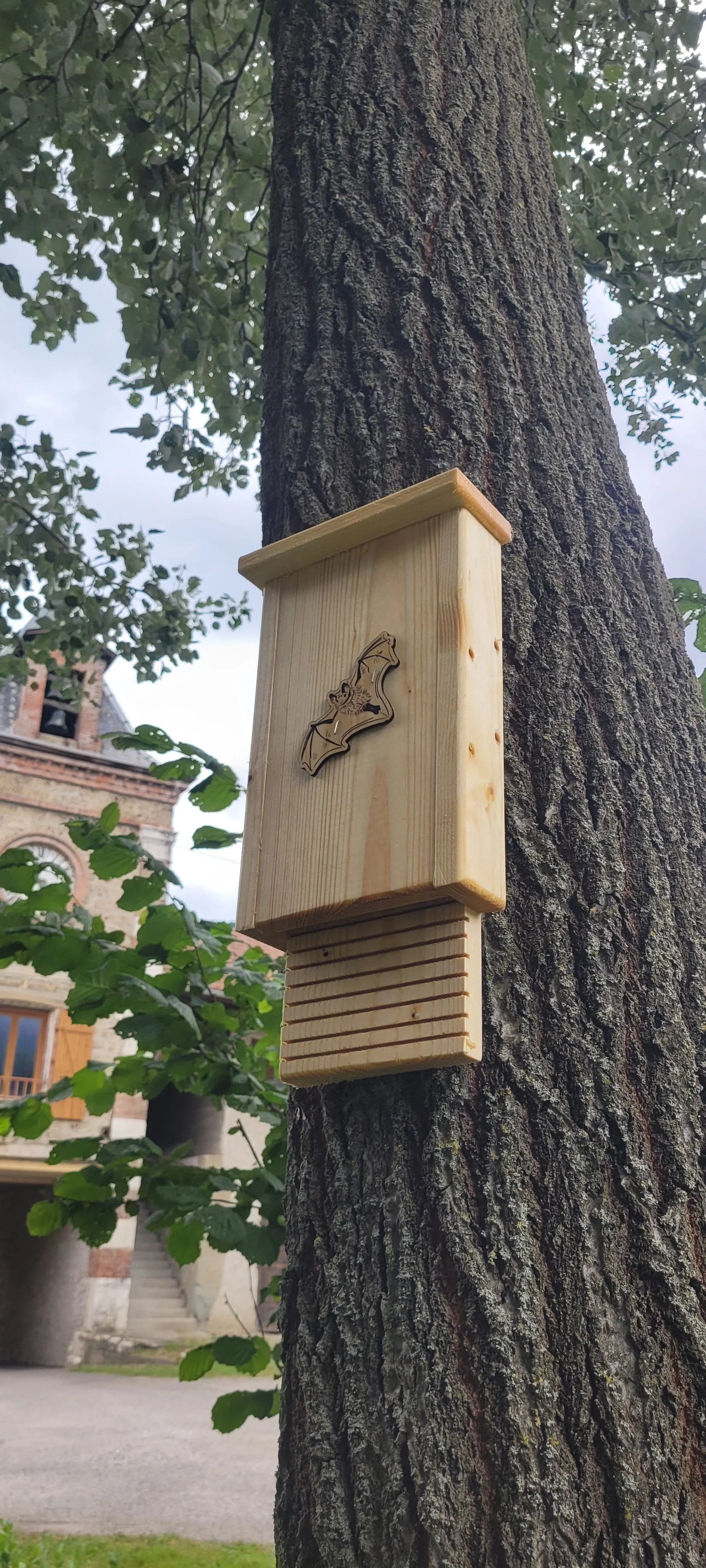 Gîte à chauve-souris S