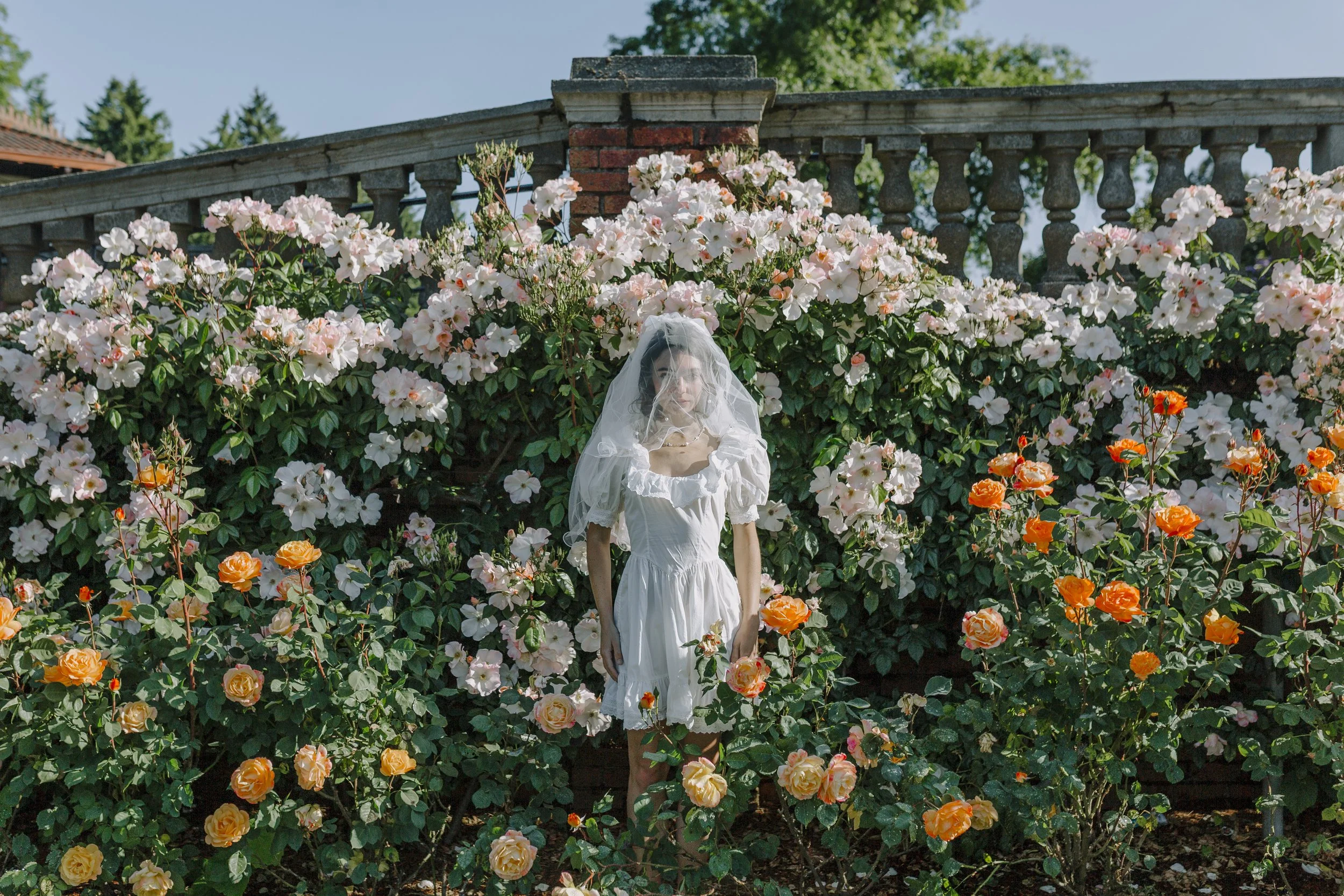 A woman dressed in vintage white clothing with a veil stands among pink and orange roses in a garden with trees and a brick and stone balustrade in the background.