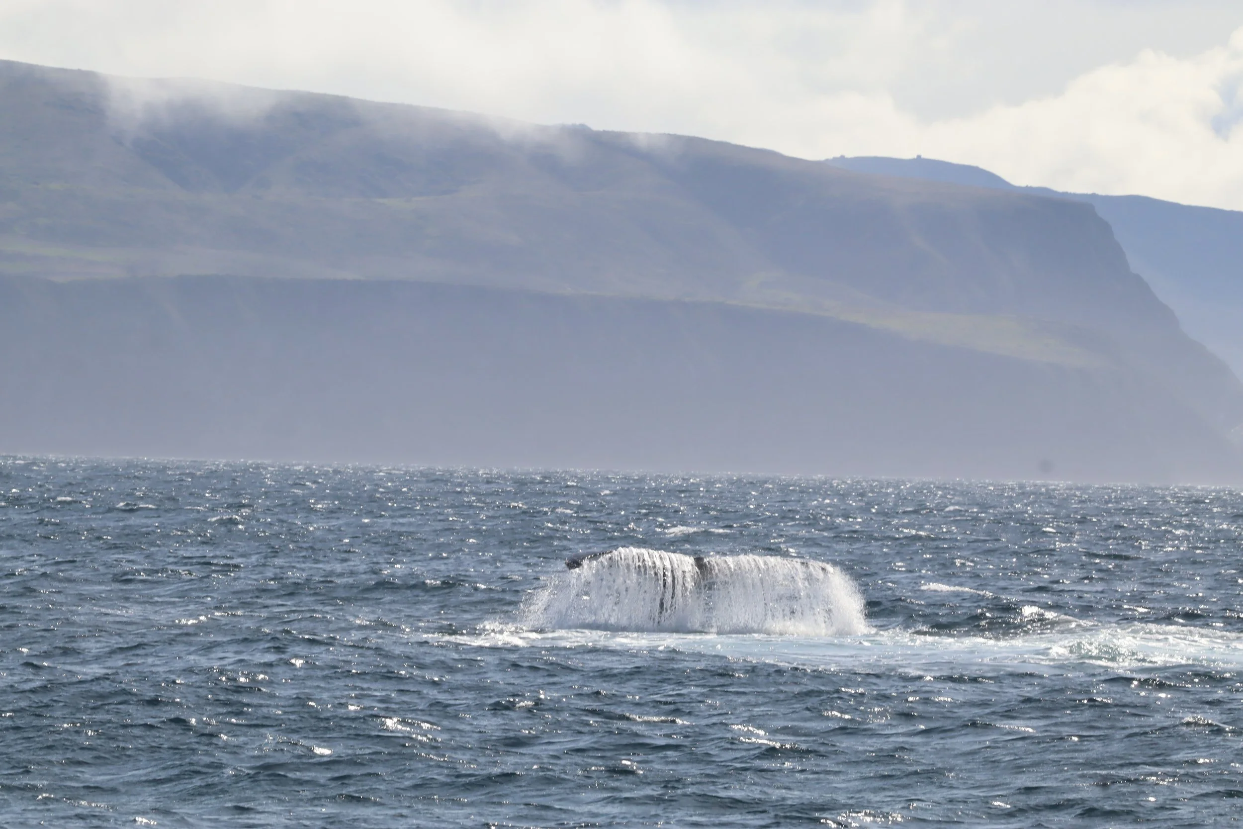 Ocean waves with mountains in the background under a cloudy sky.
